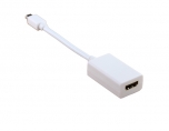  Mini Displayport Adaptor 