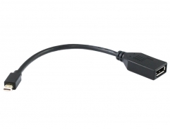  20CM Mini Displayport to Displayport F Adaptor 