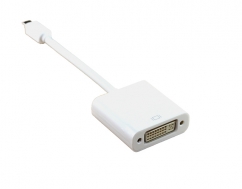 MINI Displayport TO DVI Adaptor 