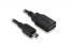  30CM Mini USB to USB AF Cable 