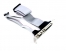  30CM Parallel & Serial Port Motherboard Header 