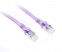  0.3M Purple CAT 6A 10Gb SSTP/SFTP Cable 