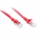  0.5M Red CAT 6A 10Gb SSTP/SFTP Cable 